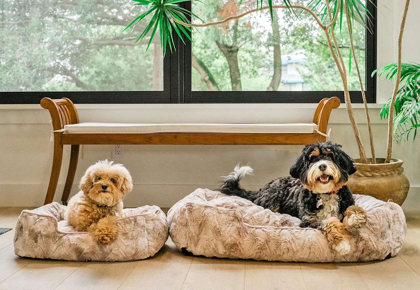 Dreamland Lounge Bed